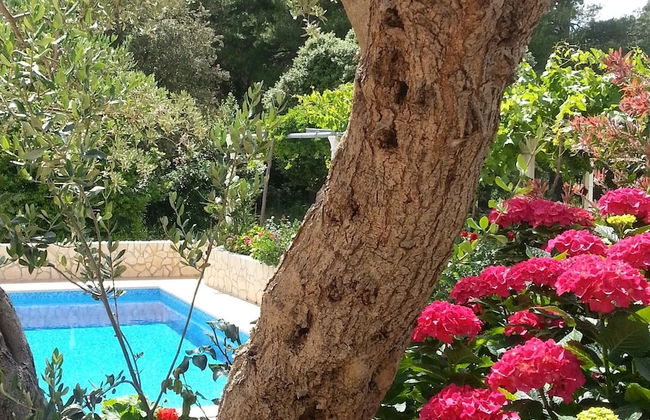 Apartments Antonio - Foto 32