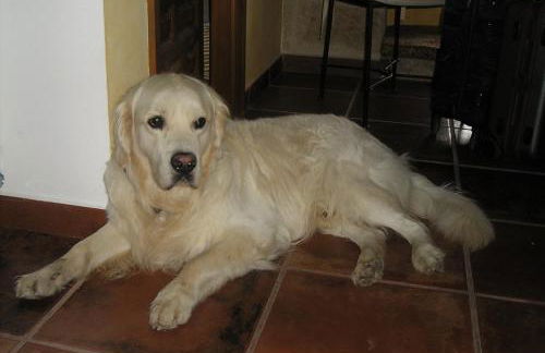 TORRE FUERTE Siglo XIII - Foto 33