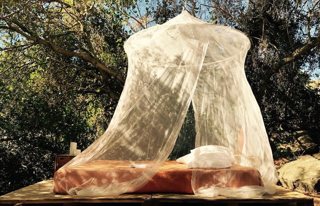 Biovilla Sustentabilidade - Foto 7