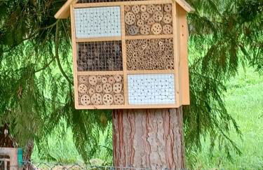 Ferienwohnung in der Grünheck - Foto 33