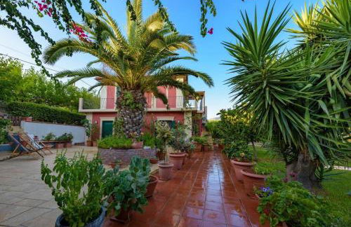 N A P L house - Foto 8