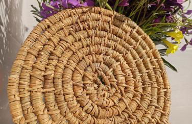 Da Lucia - Alloggio turistico Santa Maria - Foto 40