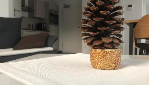 Fewo Rhein-Lahn OG2-2 - Foto 3