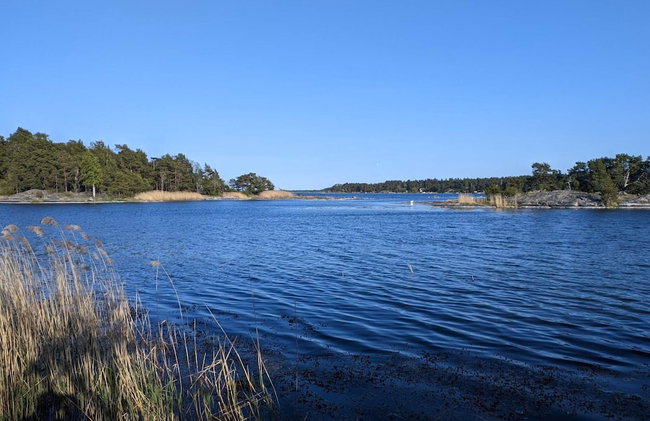 6 Person Holiday Home in Djurhamn - Foto 28