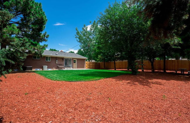 The Costilla Concert Connection Fiddler's Green - Foto 15