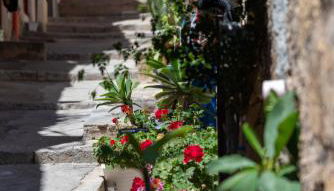 La mia deliziosa Casetta di giù - Foto 3