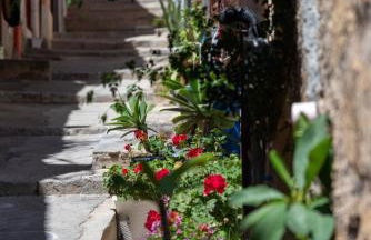 La mia deliziosa Casetta di giù - Foto 3