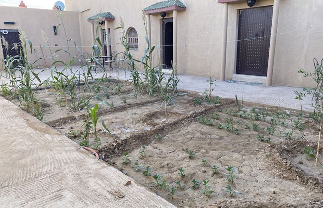 Sunny place apartments - Photo 24