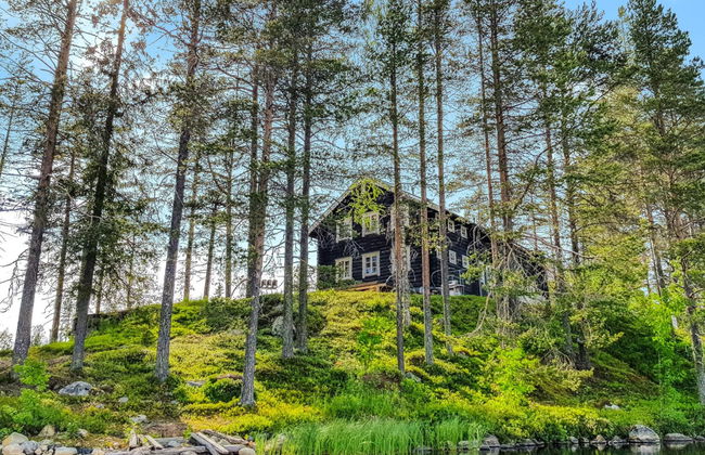 Domnan pirtti - Foto 1