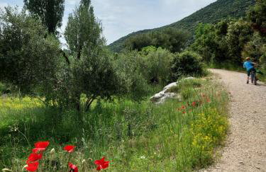 Apartman ELLA - Foto 46