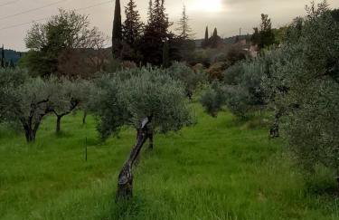 Maison Provençale - Foto 15