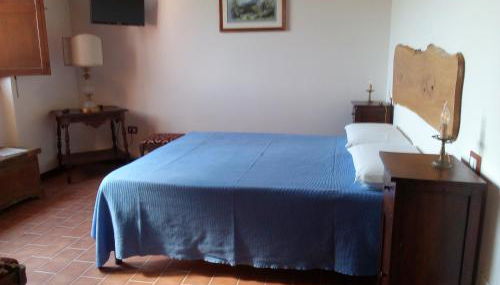 L'Albero degli Struzzi - Foto 4