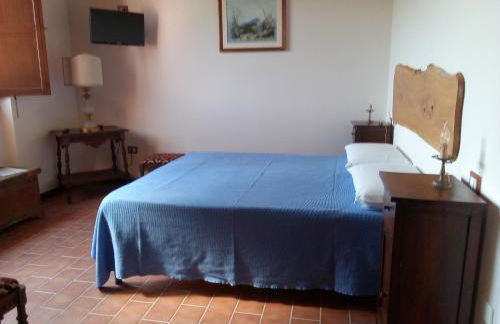 L'Albero degli Struzzi - Foto 4