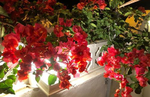 Saint James Park downstairs - Foto 10