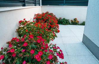 Villa Margita - Foto 40