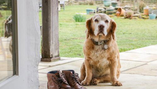 Saetr Cottage - Foto 4