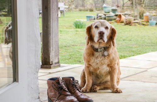 Saetr Cottage - Foto 4