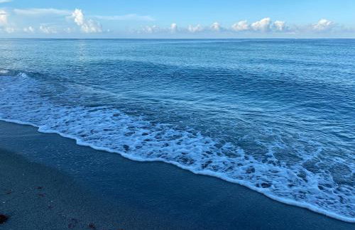 Beachfront Venice Casa de Villa - Photo 6