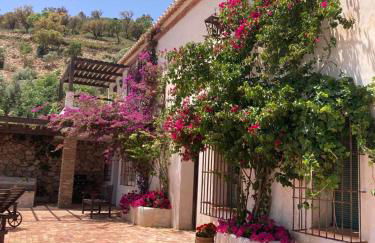 Cortijo Sancardo - Foto 22