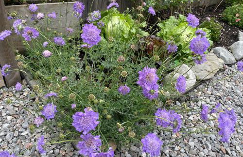 Courtyard Bothy - Foto 27