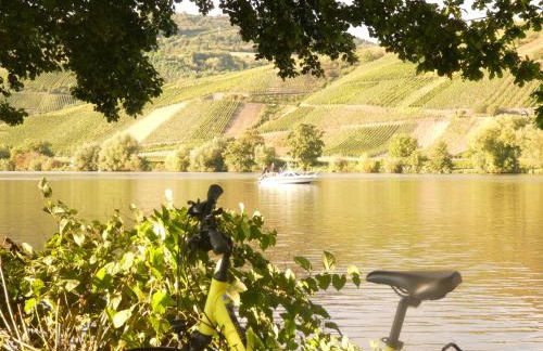 Hausboot Moselrose in Pölich - Foto 31