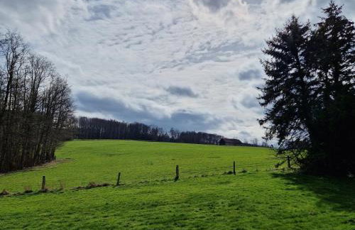 Ferienwohnung Arnsberger Wald - Photo 6