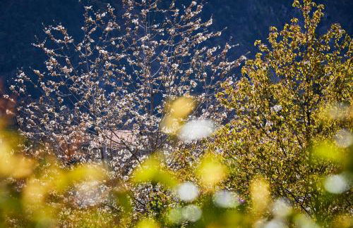 Pure Thermal Residence - Foto 41