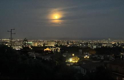 Casale di Sicilia - Foto 3