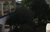 Bouganville - Foto 35