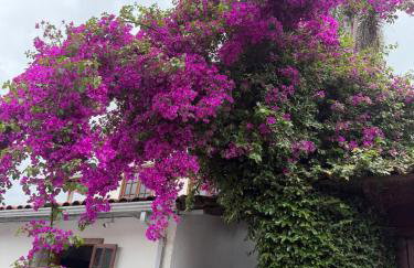 Casa completa 2km do centro 101 - Foto 14