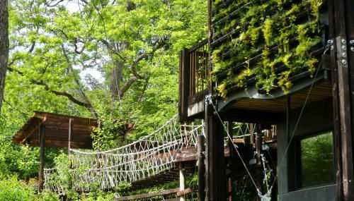 Zero Zero Treehouse - Foto 4