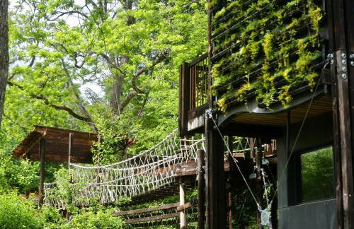 Zero Zero Treehouse - Foto 4