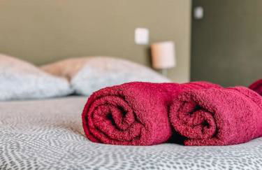 Villa avec piscine privée et jardin en Ardèche - Foto 11