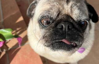 Cottage at FLAMINGAS PLACE - Photo 25