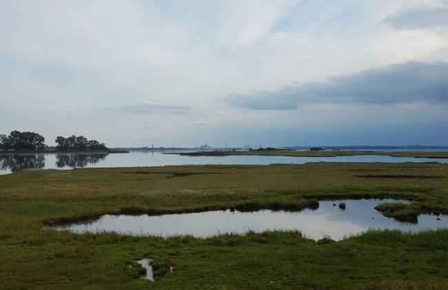 Ferienwohnung auf Insel Poel - Foto 28