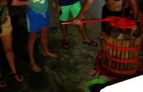 Alexandra Homestay - Foto 62