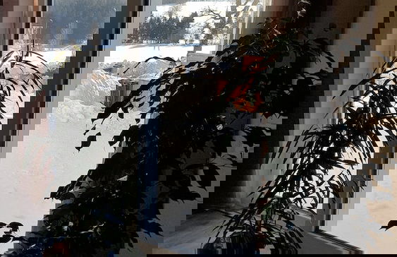 Ferienhaus Victoria - Foto 23