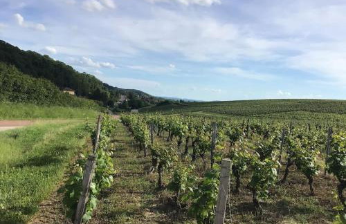 Le vigneron Au coeur des vignes à proximité des lacs et cascades lits faits à l'arrivée - Foto 21