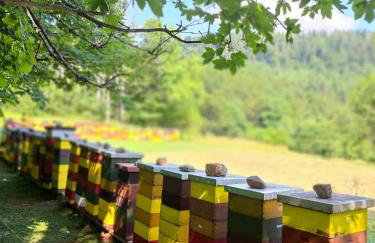 Apartman Barbara - Foto 14