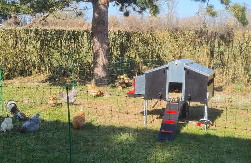 Roulotte à la Ferme Buissonnière - Foto 29