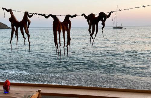 Ocean View Studios and Luxury Rooms - Foto 26