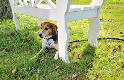 Ferienhaus Hoddebüll nah an der Nordsee - Foto 4