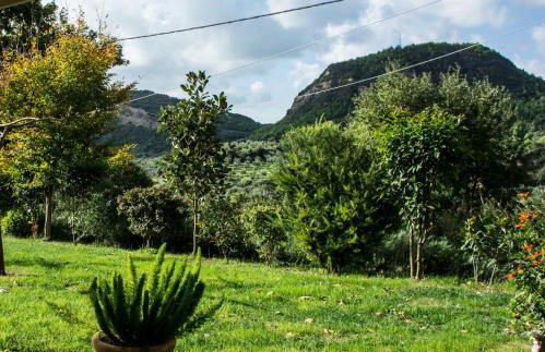 Estia guest house - Foto 53