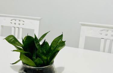 Casa da Salúquia - Foto 5