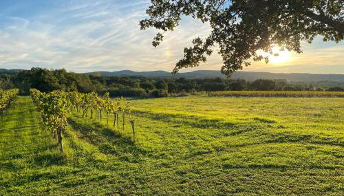 L'annexe de L' Bergerie - L’ Ardèche - Via Rhona - Foto 3