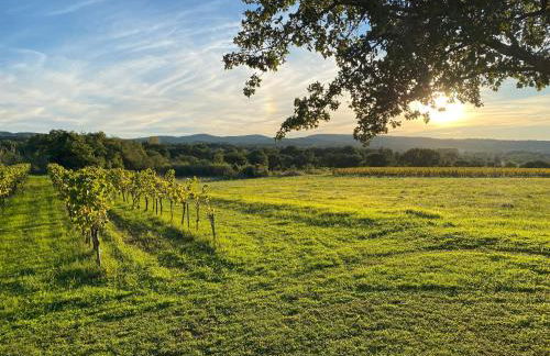L'annexe de L' Bergerie - L’ Ardèche - Via Rhona - Foto 3