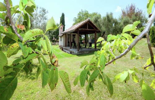 Cosy holiday home in Selci with swimming pool - Foto 8