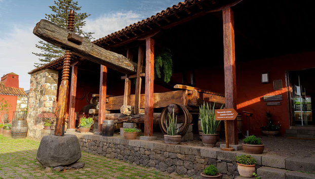 Degustación en la Casa del Vino - Foto 2