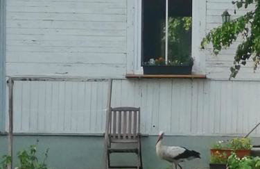 Augustówka - letnisko na Wrzosowiskach - Foto 20