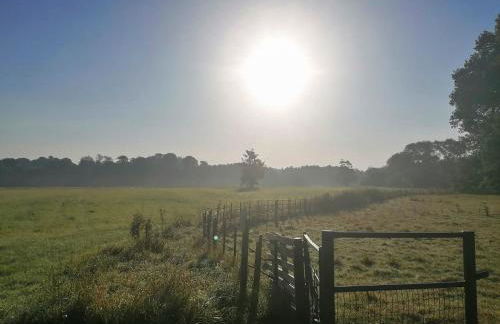 Apple Loft - Foto 12